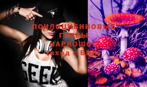 молекула духа Фурманов