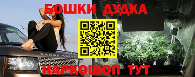 шишки Гагарин