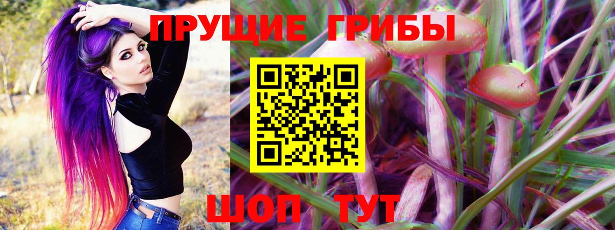 Ангарск  Псилоцибиновые грибы MAGIC MUSHROOMS  Вход с VPN 