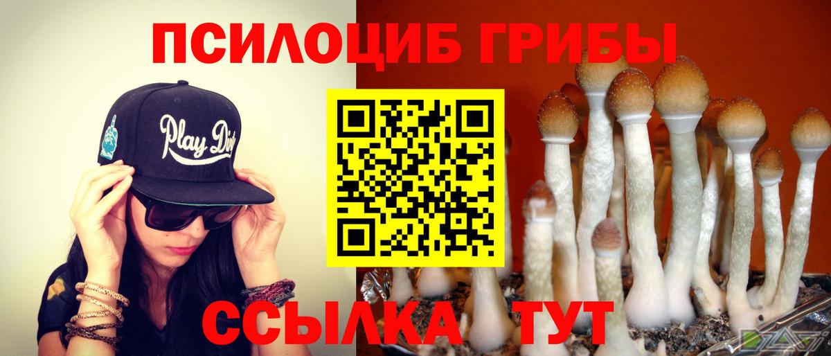 Псилоцибиновые грибы прущие грибы Ангарск